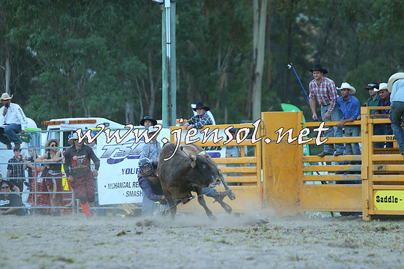 PictonRodeo2015_2629