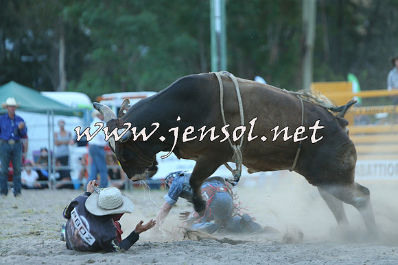 PictonRodeo2015_2526