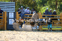 PictonRodeo2015_1965