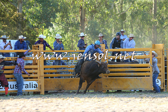PictonRodeo2015_2066