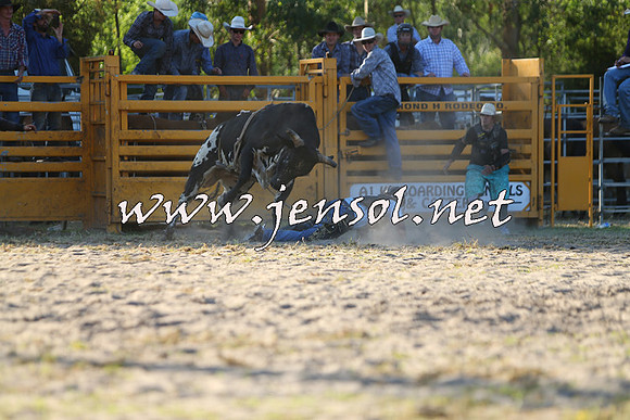 PictonRodeo2015_2047