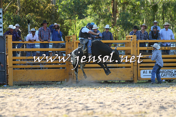PictonRodeo2015_2039