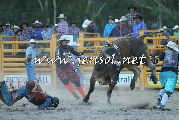 PictonRodeo2015_2510