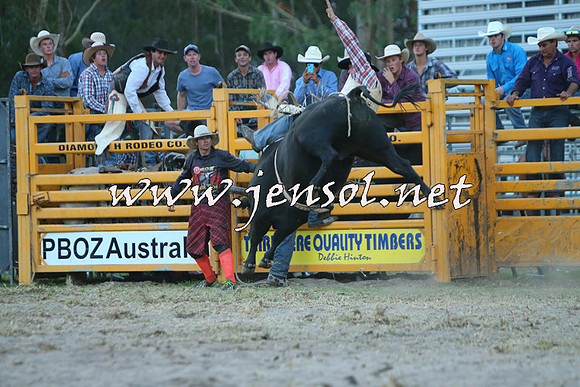 PictonRodeo2015_2808