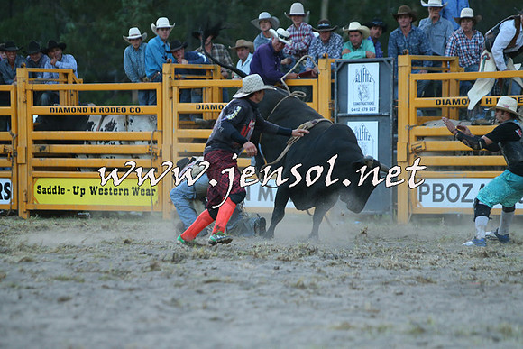 PictonRodeo2015_2823