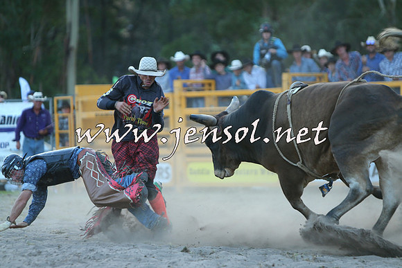 PictonRodeo2015_2537