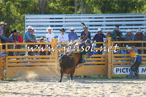 PictonRodeo2015_2150