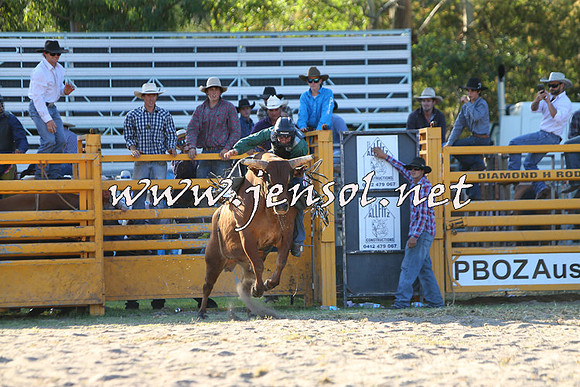 PictonRodeo2015_2122
