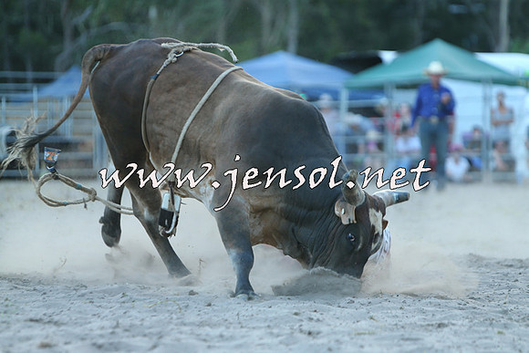 PictonRodeo2015_2538