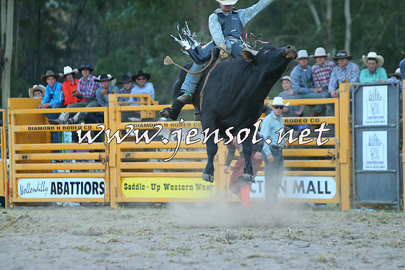 PictonRodeo2015_2738