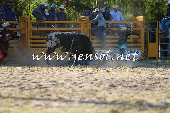 PictonRodeo2015_2063