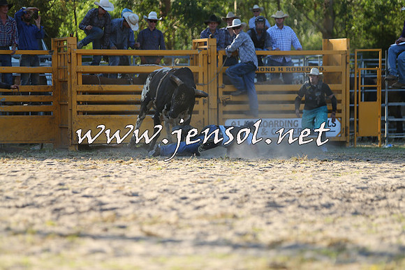 PictonRodeo2015_2043