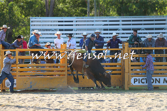 PictonRodeo2015_2154