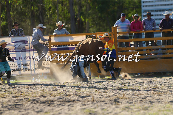 PictonRodeo2015_2016