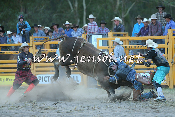 PictonRodeo2015_2517