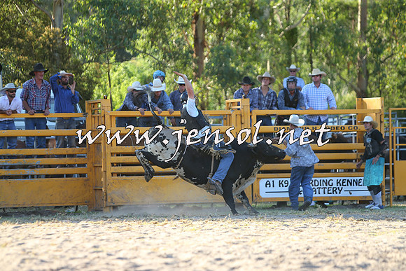 PictonRodeo2015_2034