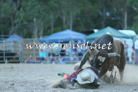 PictonRodeo2015_2548
