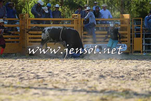 PictonRodeo2015_2060