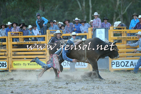 PictonRodeo2015_2498