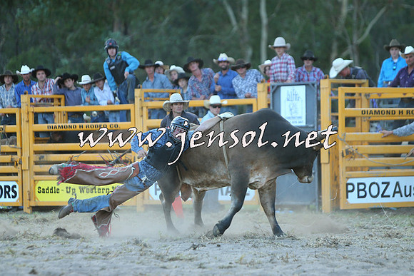 PictonRodeo2015_2496