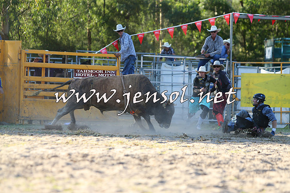 PictonRodeo2015_2103