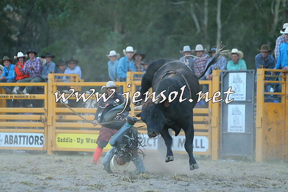 PictonRodeo2015_2781