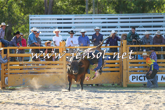 PictonRodeo2015_2165