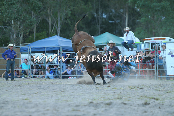 PictonRodeo2015_2613