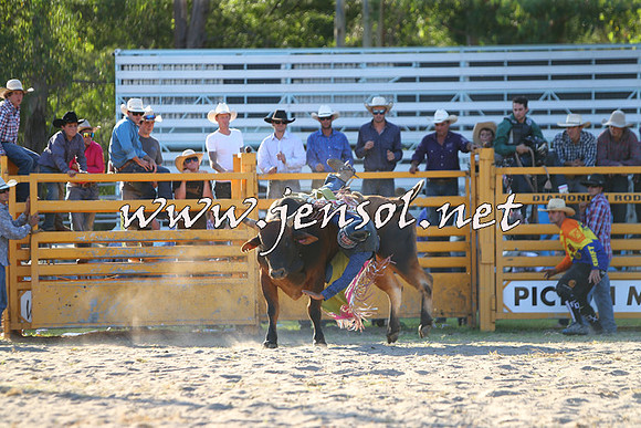 PictonRodeo2015_2168