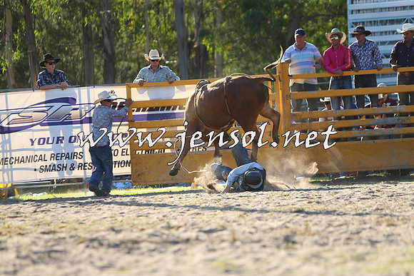 PictonRodeo2015_2007