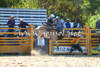 PictonRodeo2015_1949