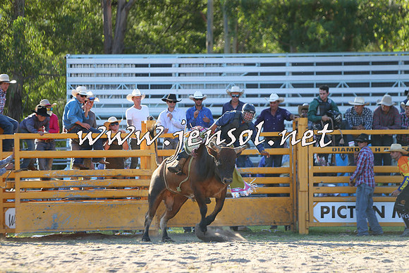 PictonRodeo2015_2156