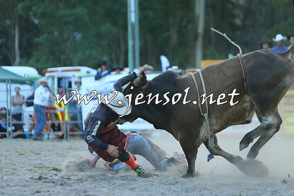 PictonRodeo2015_2523
