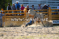 PictonRodeo2015_1998