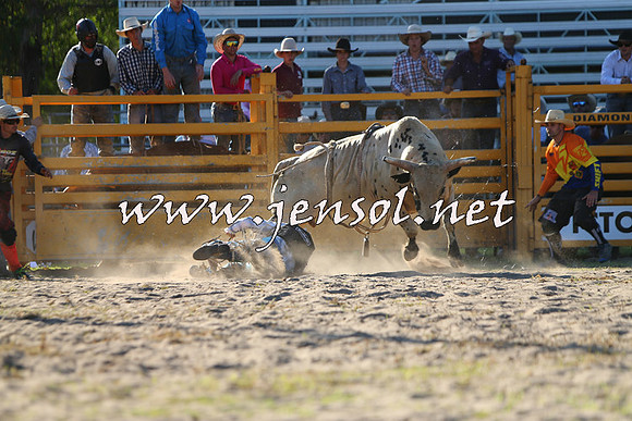 PictonRodeo2015_1993