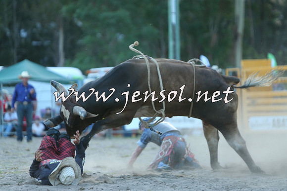 PictonRodeo2015_2527