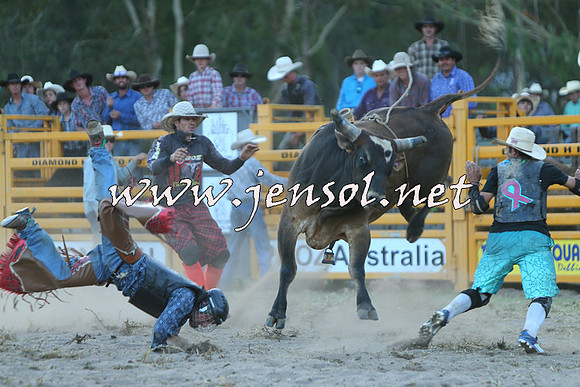PictonRodeo2015_2514