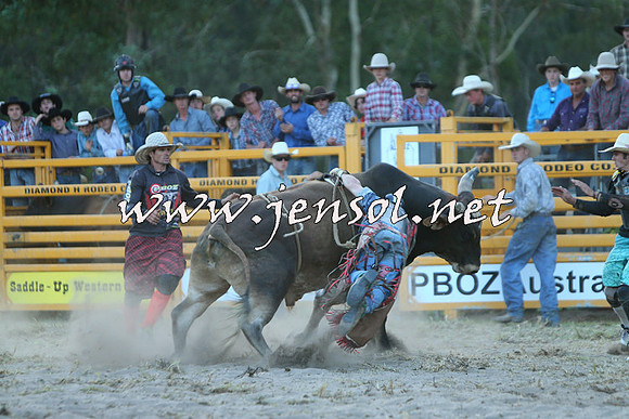 PictonRodeo2015_2515