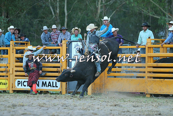 PictonRodeo2015_2734