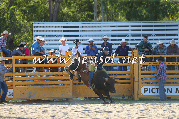 PictonRodeo2015_2157