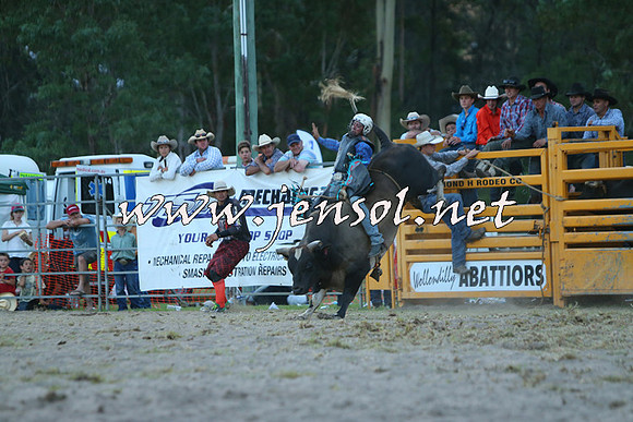 PictonRodeo2015_2832