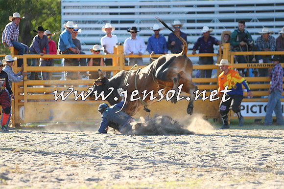 PictonRodeo2015_2160