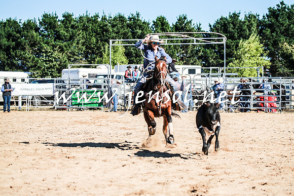BraidwoodRodeo2016_1141