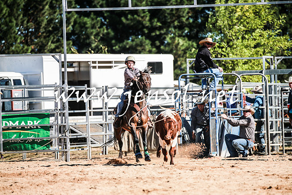 BraidwoodRodeo2016_1507