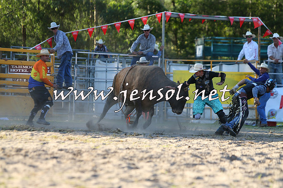 PictonRodeo2015_2108