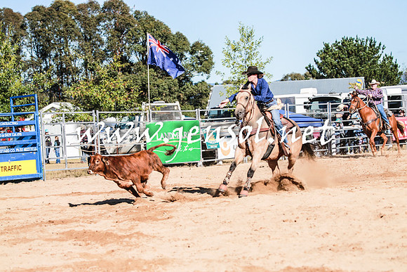 BraidwoodRodeo2016_1189