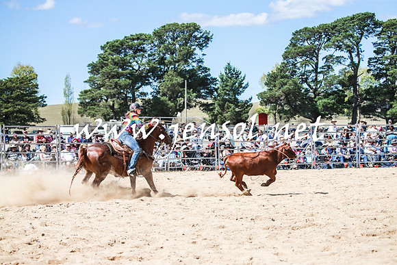 BraidwoodRodeo2016_3304