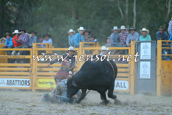 PictonRodeo2015_2800