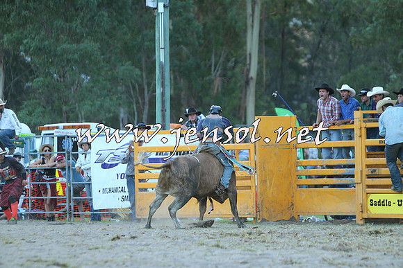 PictonRodeo2015_2622