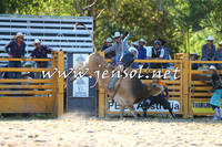 PictonRodeo2015_1952